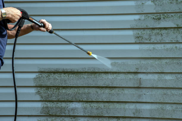 Best Soft Washing for Delicate Surfaces in Mount Vernon, IA